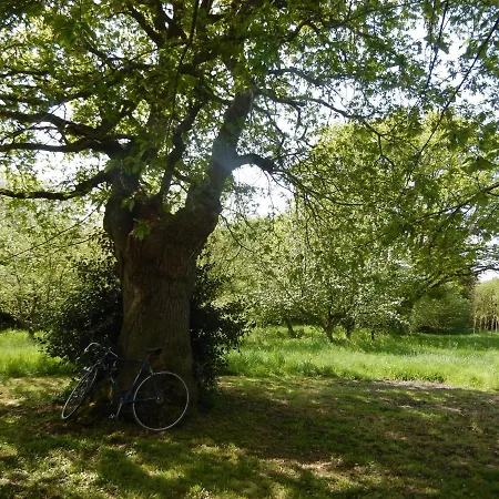 Hébergement de vacances Insolite: La Tiny House Du Lutin Many Saint-Christophe-Sur-Conde