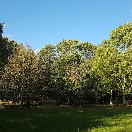 Hébergement de vacances Insolite: La Tiny House Du Lutin Many *