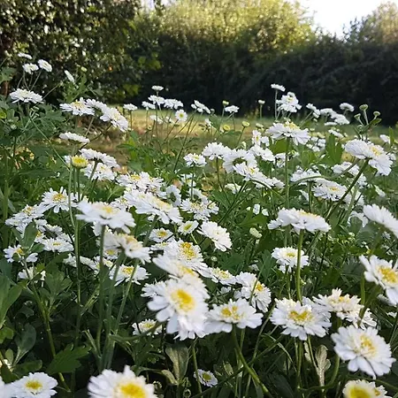 Insolite: La Tiny House Du Lutin Many * Saint-Christophe-Sur-Conde