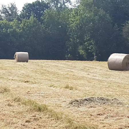Hébergement de vacances Insolite: La Tiny House Du Lutin Many Saint-Christophe-Sur-Conde