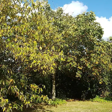 Insolite: La Tiny House Du Lutin Many Hébergement de vacances *