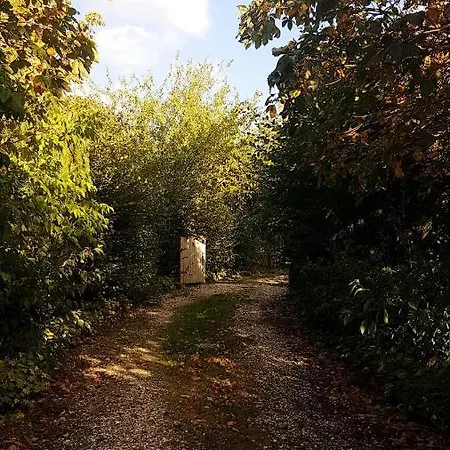 Insolite: La Tiny House Du Lutin Many *
